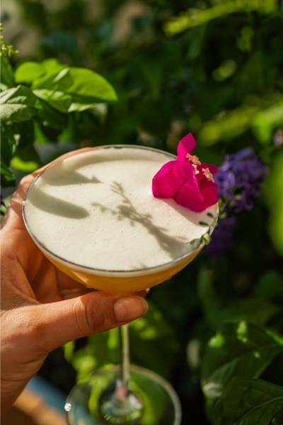 Zarafet İçecekleri görseli